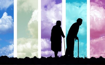 Aprende todo sobre los planes de pensión.